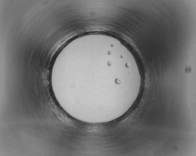 X0000110720786200907101403