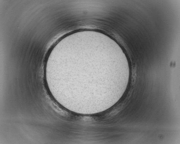 X0000110720787200907101403