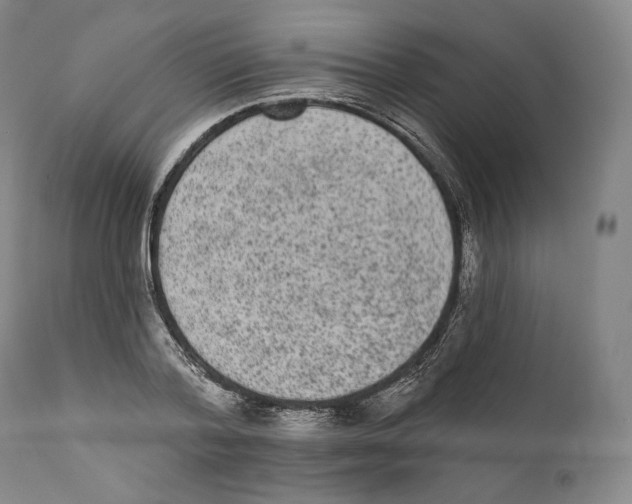 X0000110720788200907101403