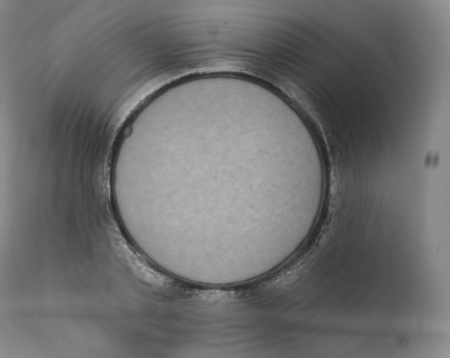 X0000110720789200907101403