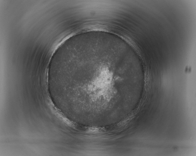 X0000110720790200907101403