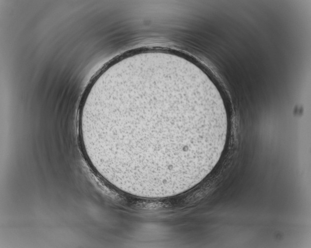 X0000110720791200907101403