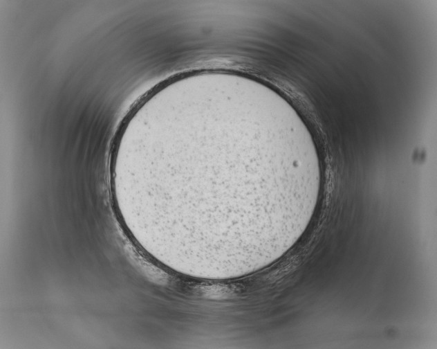 X0000110720792200907101403