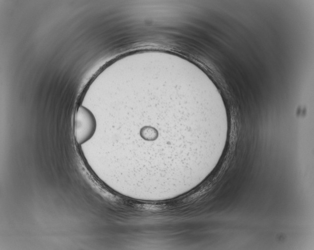 X0000110720796200907101403