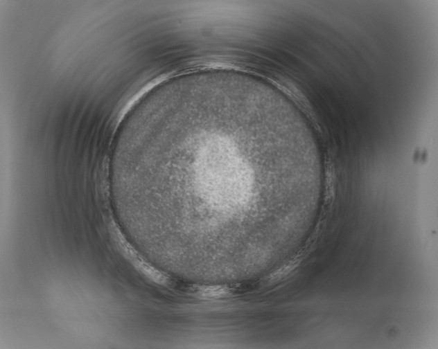 X0000110720798200907101403