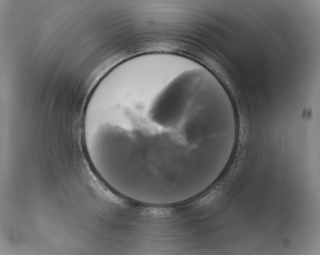 X0000110720802200907101403