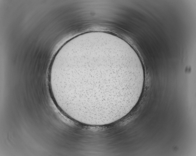 X0000110720803200907101403