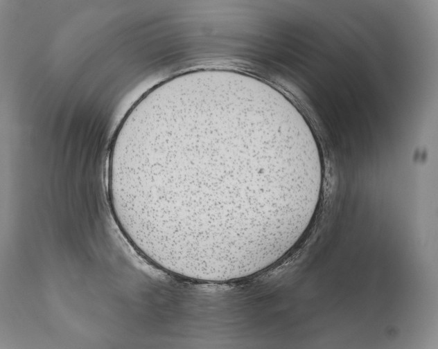 X0000110720804200907101403