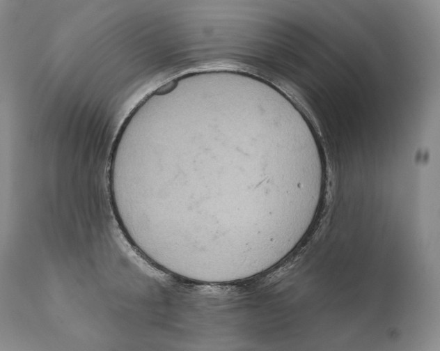 X0000110720805200907101403