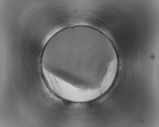 X0000110720806200907101403