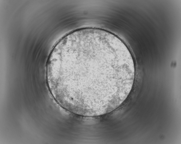 X0000110720807200907101403