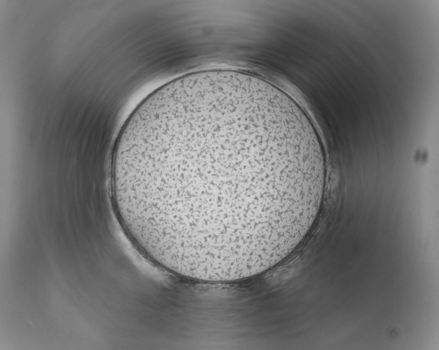 X0000110720811200907101402