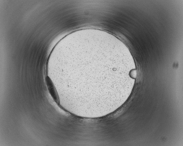 X0000110720812200907101402