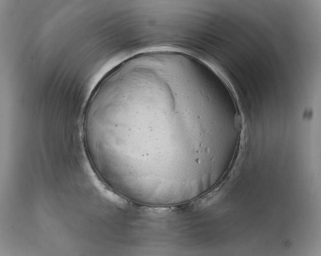 X0000110720813200907101402