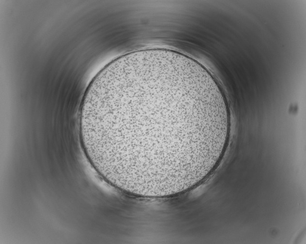 X0000110720814200907101402