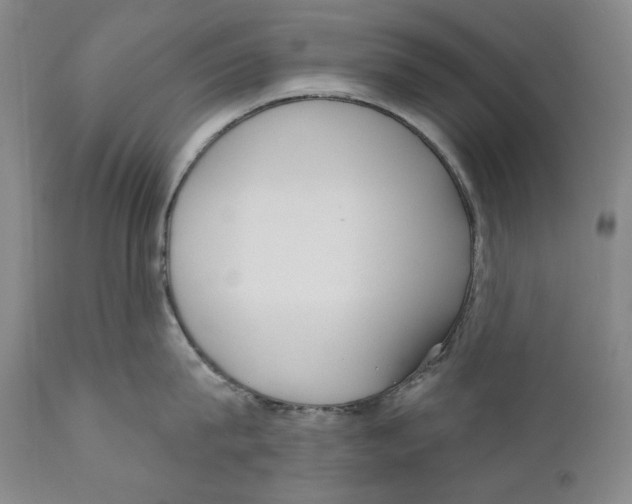 X0000110720815200907101402