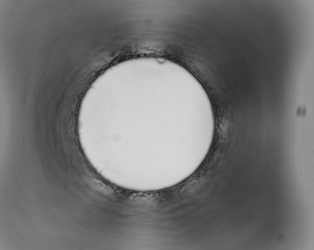 X0000110720817200907101402