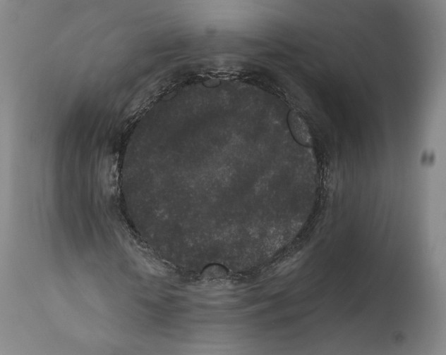 X0000110720818200907101402