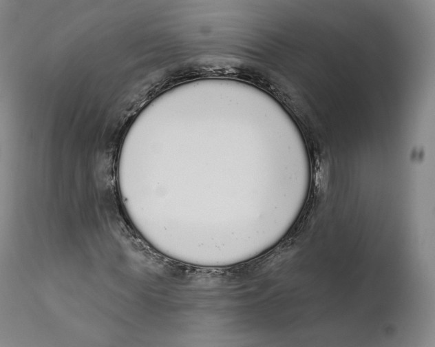 X0000110720819200907101402