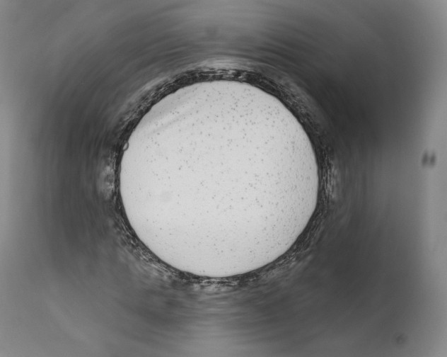 X0000110720821200907101402