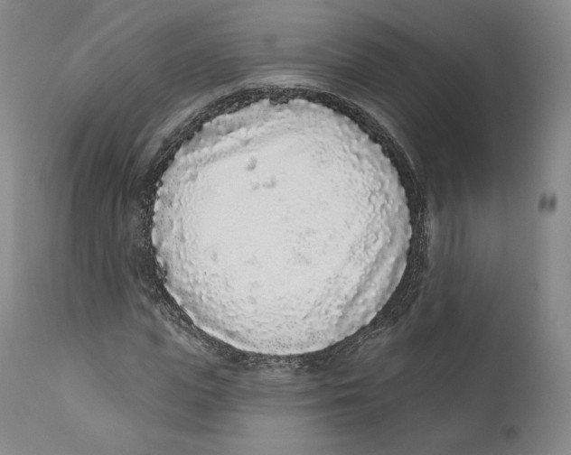 X0000110720823200907101402