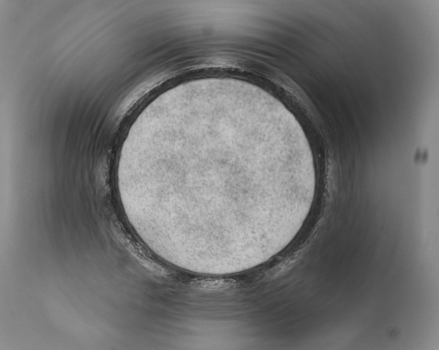 X0000110720826200907101402