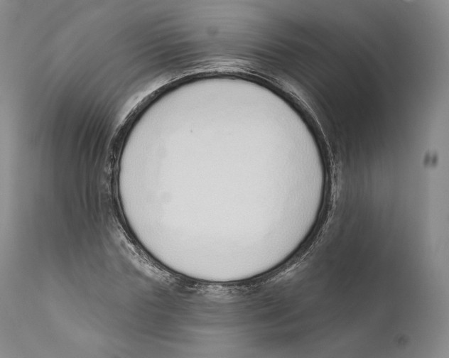 X0000110720827200907101402