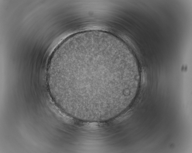 X0000110720828200907101402