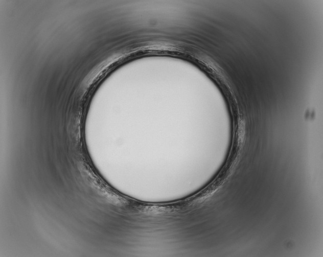 X0000110720829200907101402