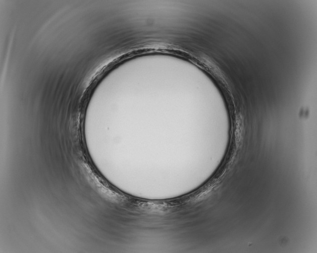 X0000110720831200907101402