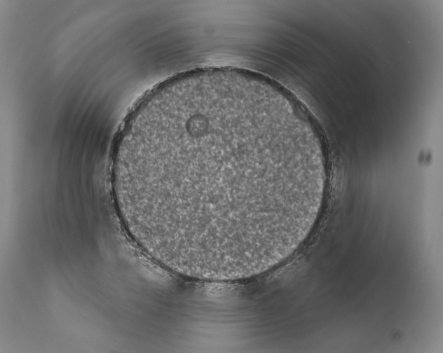 X0000110720832200907101402