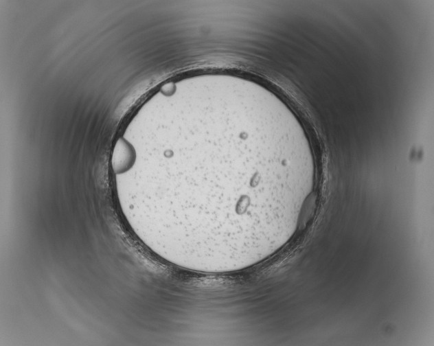 X0000110720834200907101402