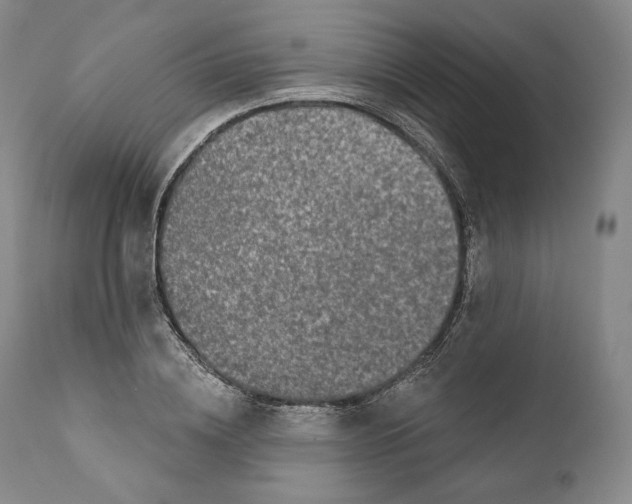 X0000110720836200907101402