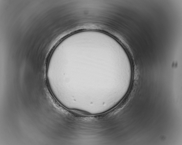 X0000110720837200907101402