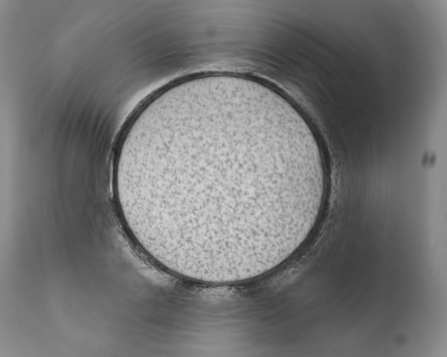 X0000110720838200907101402