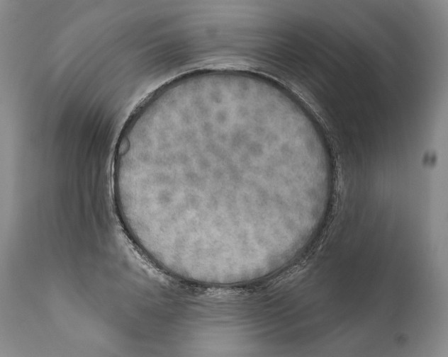 X0000110720840200907101402