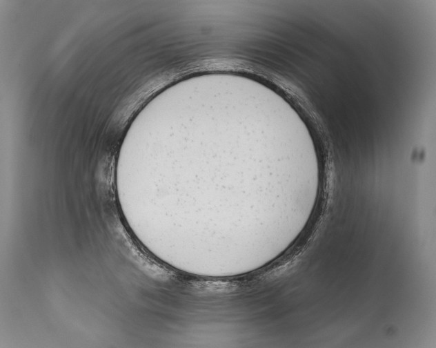 X0000110720841200907101402