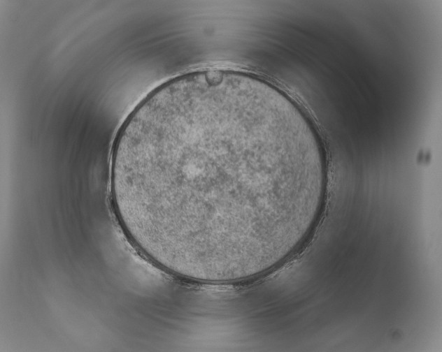 X0000110720844200907101402