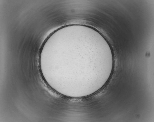 X0000110720846200907101402