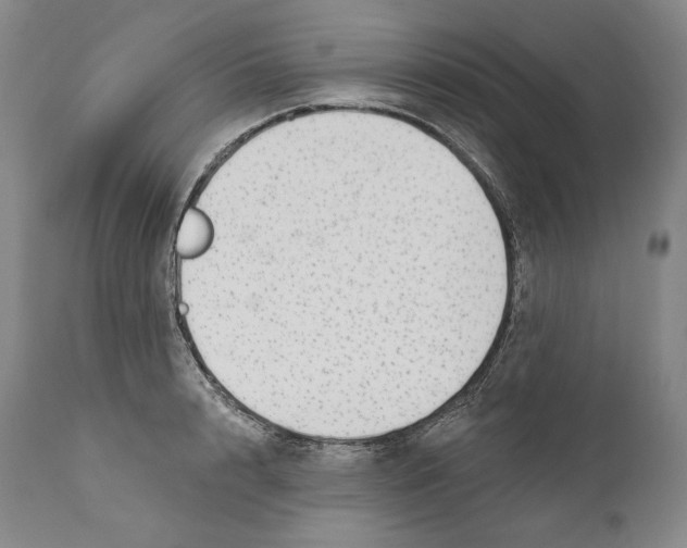 X0000110720848200907101402