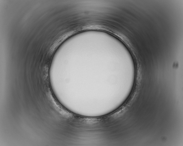 X0000110720849200907101402