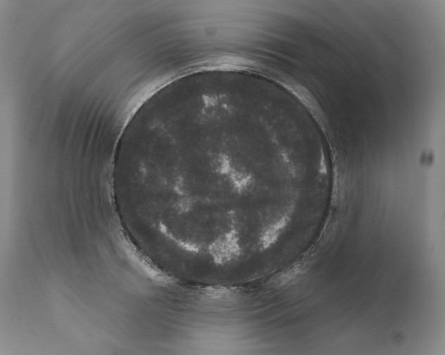 X0000110720850200907101402