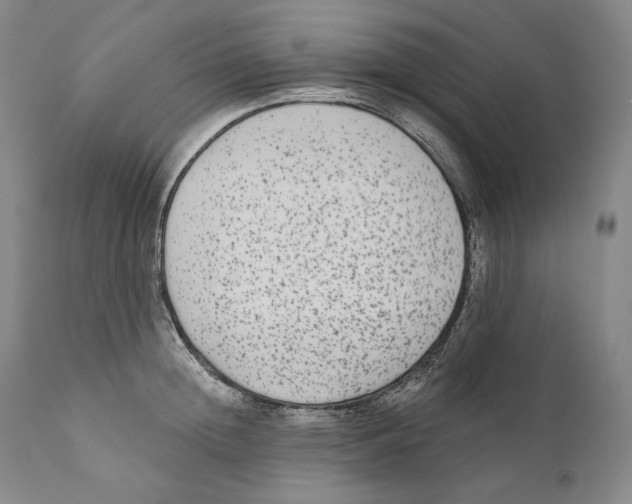 X0000110720852200907101402