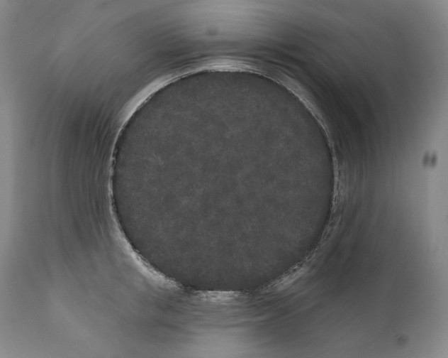 X0000110720853200907101402