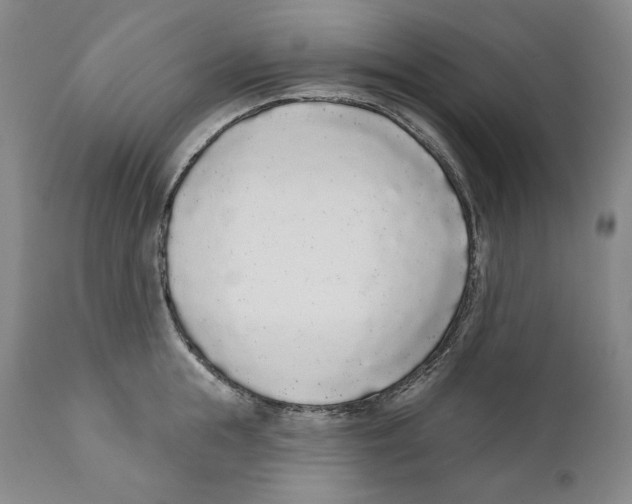 X0000110720855200907101402