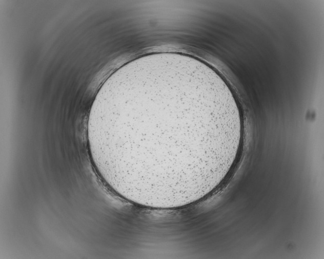 X0000110720857200907101402