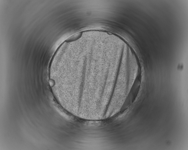 X0000110720858200907101402