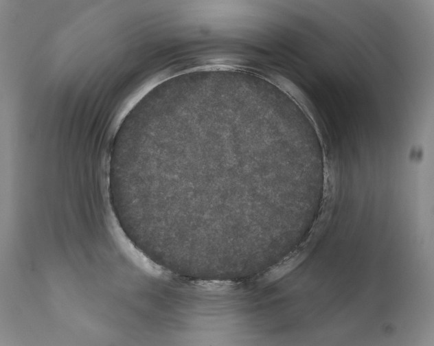 X0000110720859200907101402