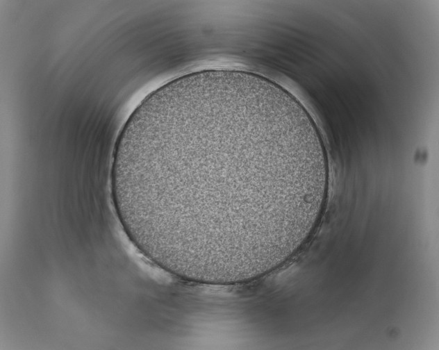 X0000110720861200907101402