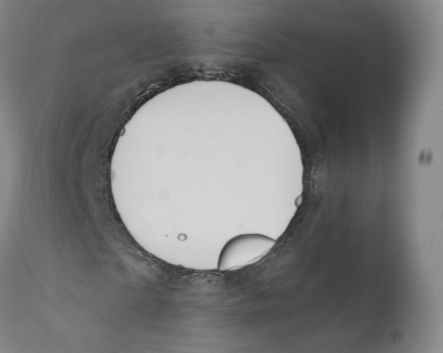 X0000110720865200907101402